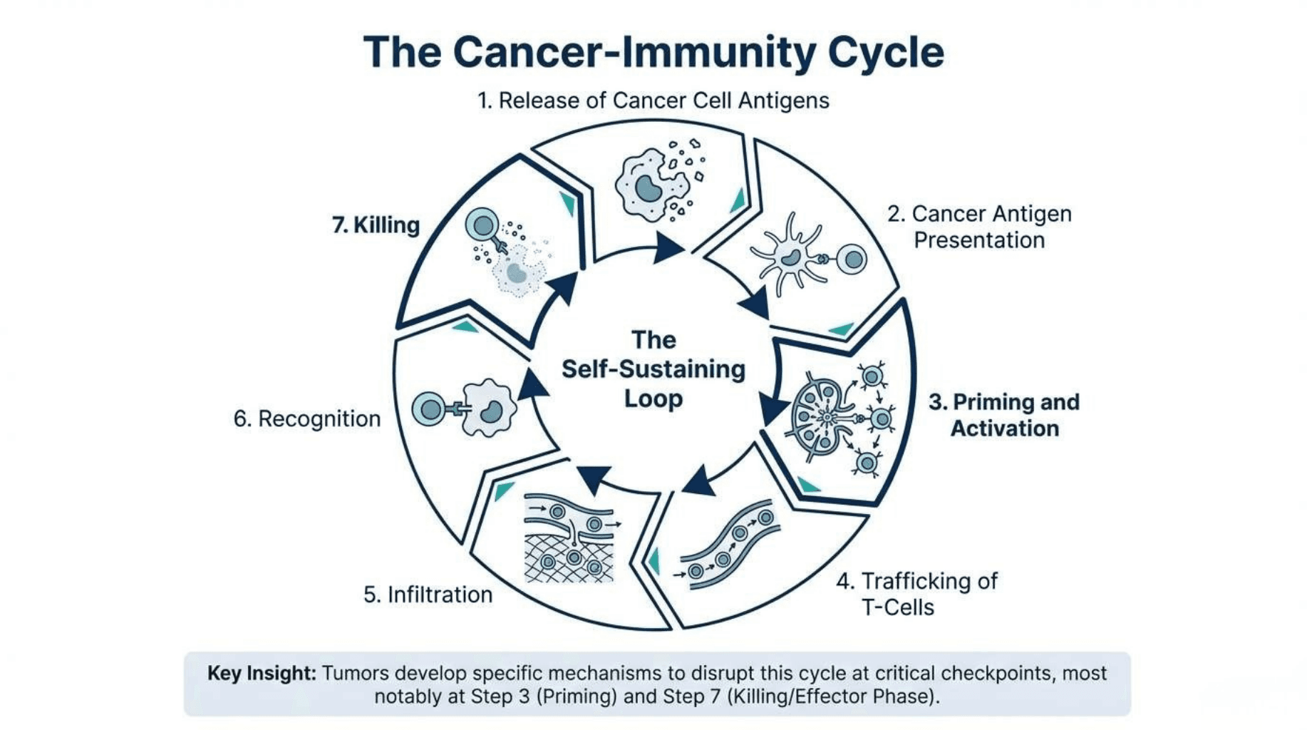 Slide 2 of The Fourth Pillar: Fundamentals of Cancer Immunotherapy