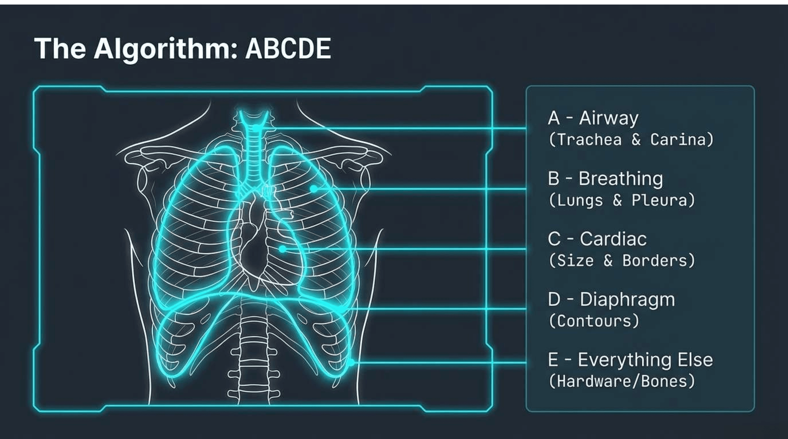 Slide 3 of CXR Interpretation: Reading Between the Ribs