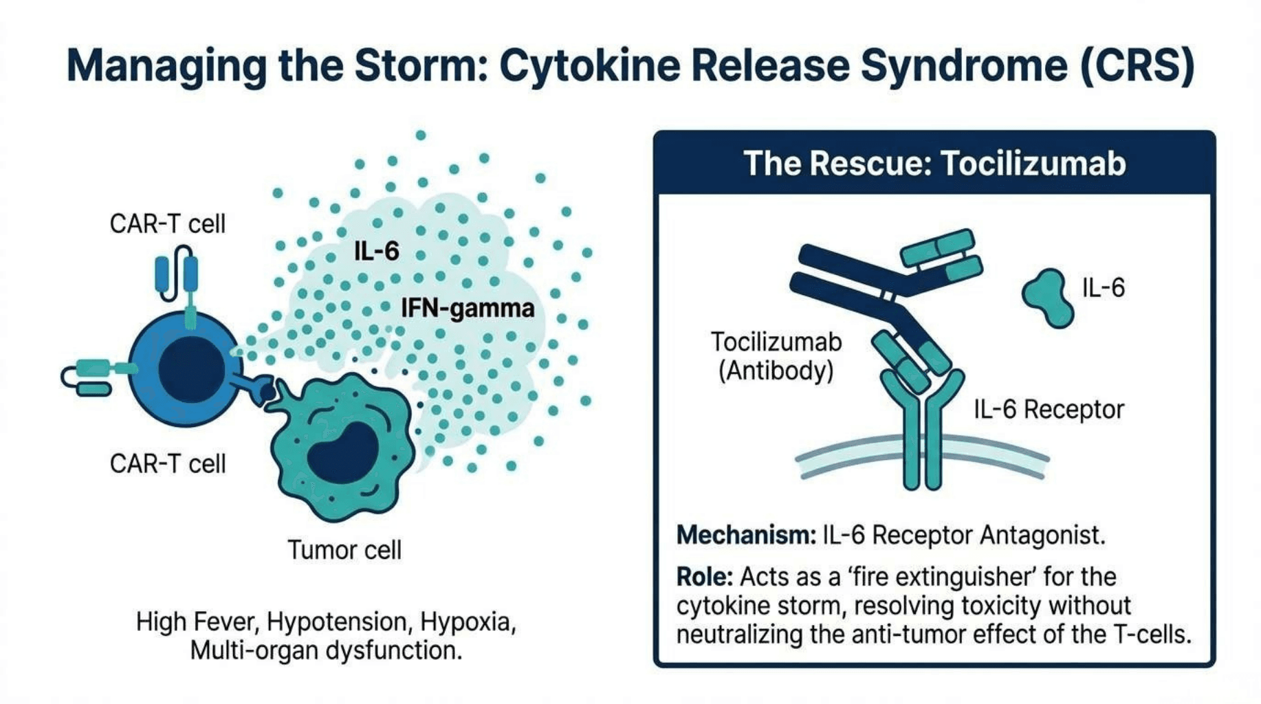 Slide 11 of The Fourth Pillar: Fundamentals of Cancer Immunotherapy